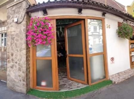 Pensiunea Casa Ober 布拉索夫 外观 照片
